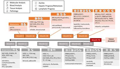 Dynamic changes in tumor profiling reveal intra- and inter-tumoral heterogeneity focused on an uncharacterized HER2 mutation: a case report of a young breast cancer patient